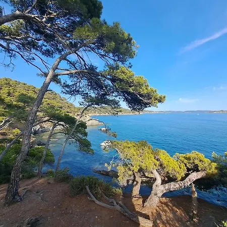 Apartman T4 65 M2, 3 A Giens Proche Village